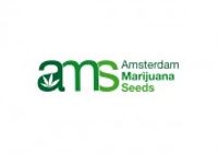 Amsterdam Marijuana Seeds coupons